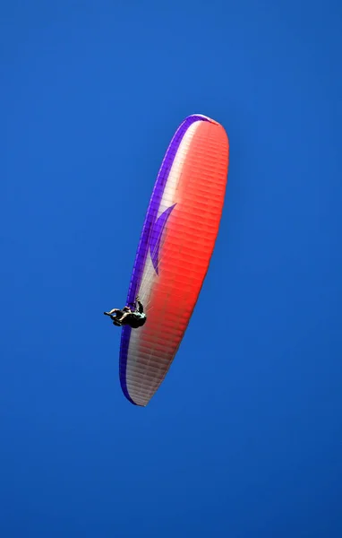 パラグライダー趣味の夏のスポーツ — ストック写真