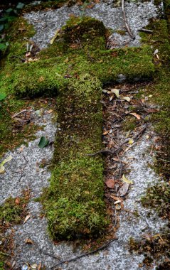 Eski yosunlu haç mezar taşı