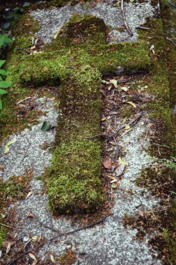 Eski yosunlu haç Unutun