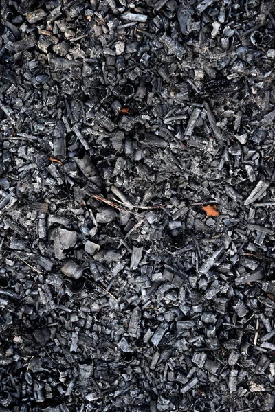 Madera Carbón Vegetal Carbón Vegetal Carbono —  Fotos de Stock