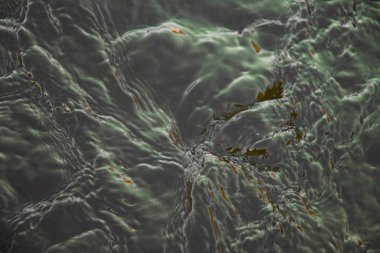 Nehir huzur dolu suyla akıyor.