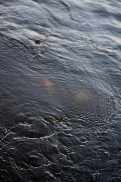 水流平静的河流 — 图库照片
