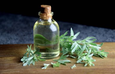 Wormwood Absinth Biyolojik Yağ Doğal Tıp