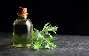 Wormwood Absinth Biyolojik Yağ Doğal Tıp