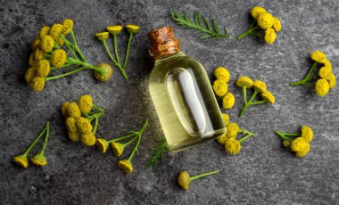 tansy ineği acı taze bitkisel yağ