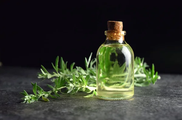 Absinthe Absinthe Bio Huile Médecine Naturelle — Photo