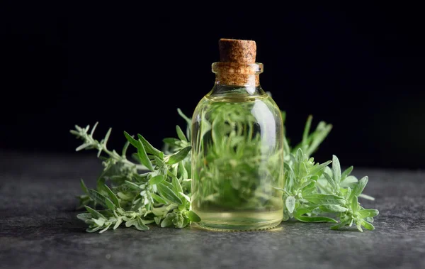 Absinthe Absinthe Bio Huile Médecine Naturelle — Photo