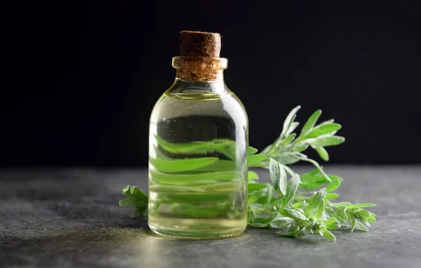 Wormwood Absinth Bio Oil Natural Medicine — Stock Photo, Image