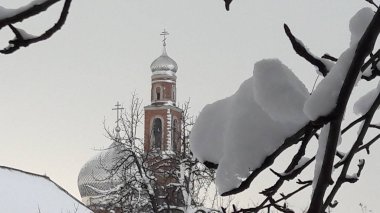 Karla kaplı bir kuru ağaç dalı görünümünü kapatın. Taze kar ile güzel kış harikalar diyarı