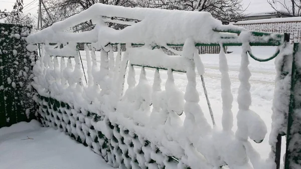 Kasım ayında soğuk karlı havalarda. Dallar ve yapraklar meyve ağaçlarının ilk karla kaplı. İlk kar düştü. Çalılıkların üzerinde kar. Köpek rose kış manzarası.