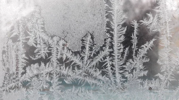 Kışın şafakta penceresinde güzel soğuk desenler. Donmuş Pencere cam, sabah frost Çizim penceresinde
