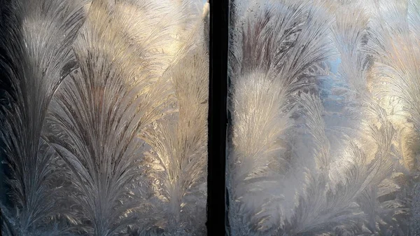 Kışın şafakta penceresinde güzel soğuk desenler. Donmuş Pencere cam, sabah frost Çizim penceresinde