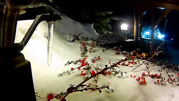 Zweige des Weihnachtsbaums und eine rote Beere auf einer Laterne unter fallendem Schnee. — Stockvideo