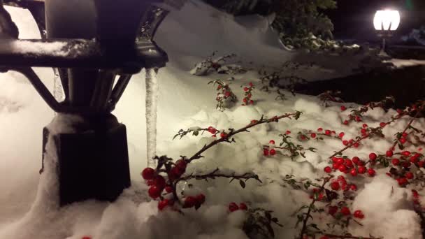 Zweige des Weihnachtsbaums und eine rote Beere auf einer Laterne unter fallendem Schnee. — Stockvideo