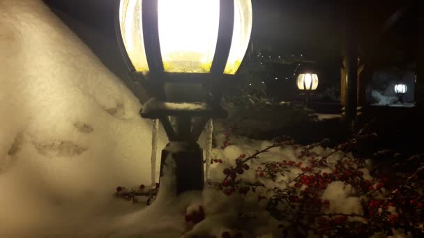 Lampy Uliczne Ozdobami Świątecznymi Pod Śniegiem Białe Boże Narodzenie Lampy — Wideo stockowe
