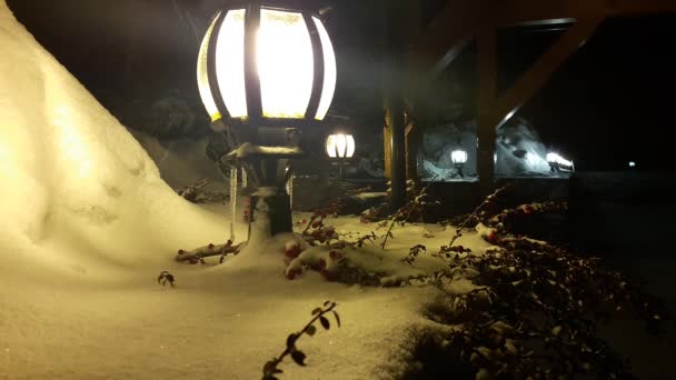 Gałęzi choinki i czerwone jagody na latarnia pod Padający śnieg. — Wideo stockowe