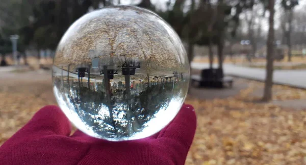 Kristal top doğa arka plan ile. Objektif topu Park'ta güzel manzaralı