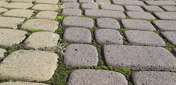 Bestrating platen met een gras. Geplaveide gestreepte traject. Detail van het oude wegdek. Grijze straatstenen closeup. — Stockfoto