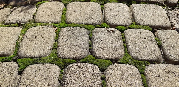 タイル舗装 舗装の背景 灰色の敷石のクローズ アップ — ストック写真