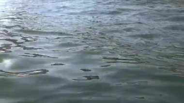 Güneş deniz yüzeyi sualtı formları bir yama ışık parlar.