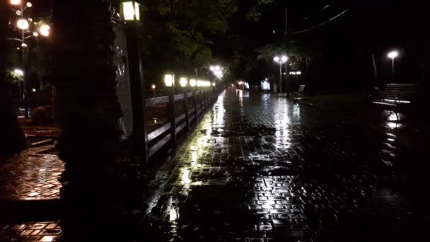 Deštivý večer v parku. deštivé noci, silný déšť padá, temná krajina s deštěm, krása pouličních světel v noci po dešti — Stock video