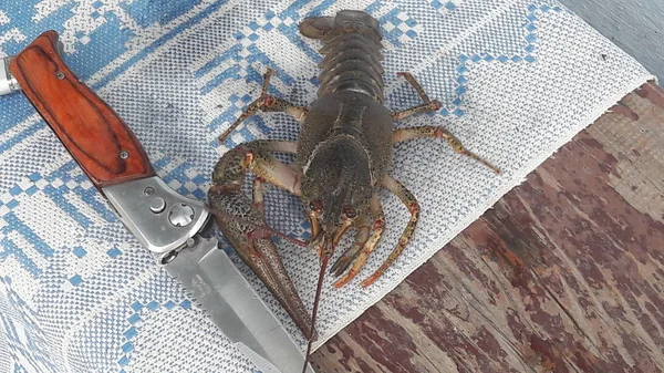 Cangrejos de río vivos yacen en la mesa cerca de un cuchillo. De cerca. —  Fotos de Stock