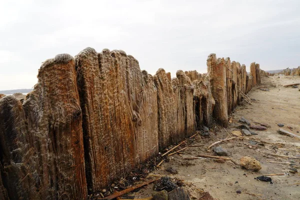 Trehauger i en saltsjø ved Kuyalnik estuary. Kuyalnik estuarlandskap. Kuyalnik liman salt lake i Odessa-regionen i Ukraina . – stockfoto