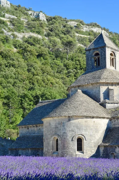 Abtei Senanque Und Blühende Lavendelfelder Frankreich — Stockfoto