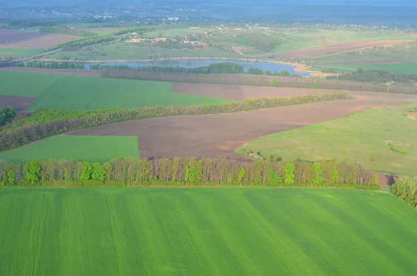 Paysage Naturel Herbe Verte Arbres Vue Haut Ciel Bleu Espace — Photo