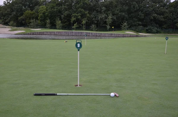 Golf Topu Golf Sopası Yeşil Çimlerde Spor — Stok fotoğraf