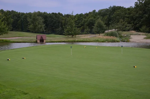 Golf Sahası Yeşil Çimenler Ağaçlar Mavi Gökyüzü — Stok fotoğraf