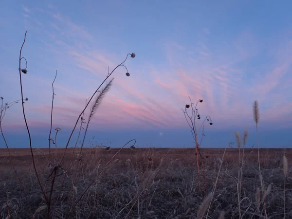 Karanlık, renkli günbatımı Colorado Doğu ovaları