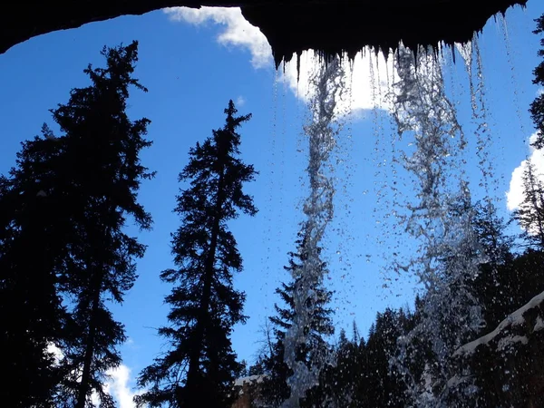 Yukarı doğru bir şelale backgrouond çam ağaçları ile göster