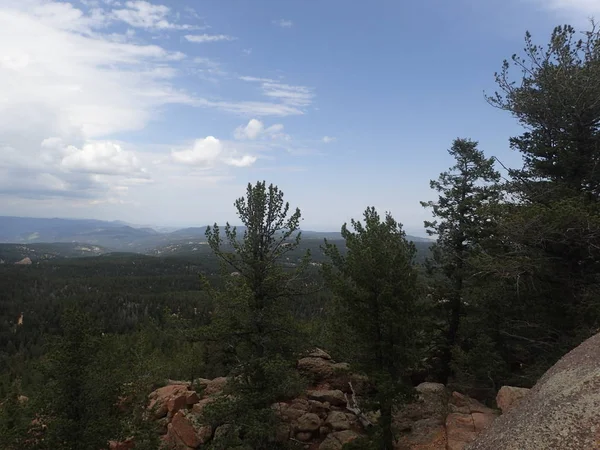 Pine Trees Growing Rock Cliff Overlooking Mountain Valley — Stock Photo, Image