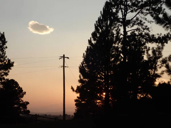 Закат Солнца Силуэтом Сосны Телефонного Столба — стоковое фото