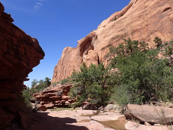 Canyon Wall Rock Silhouette Canyon Hiking Trail Utah Usa — Stock Photo, Image