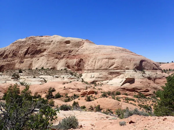 Belki de benzer bir T-Rex kafatası kaya oluşumu bulundu Utah, ABD