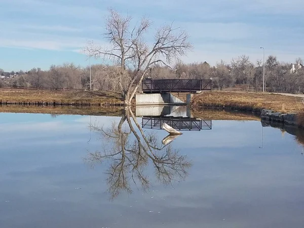 Köprü ve bir mahalle gölette yansıtan ağaç yürüme