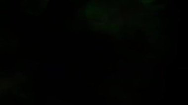 Video cam Işık sızıntıları