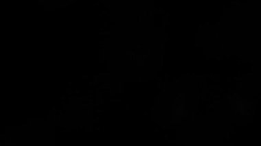 Video cam Işık sızıntıları