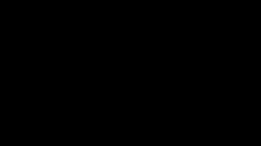 Video cam Işık sızıntıları