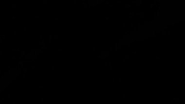 Video cam Işık sızıntıları