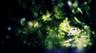 Işık sızıntıları öğesinin video