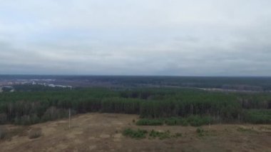 Ormanın içinde havadan görünümü