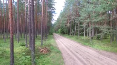 Ormandaki çakıl yolda geçen araba