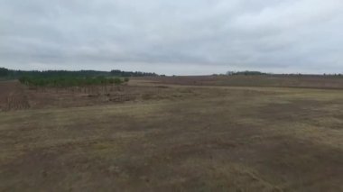 çayır üzerinde uçuş video