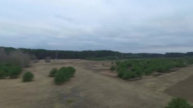 çayır üzerinde uçuş video