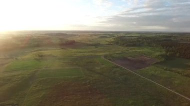 çayır üzerinde uçuş video