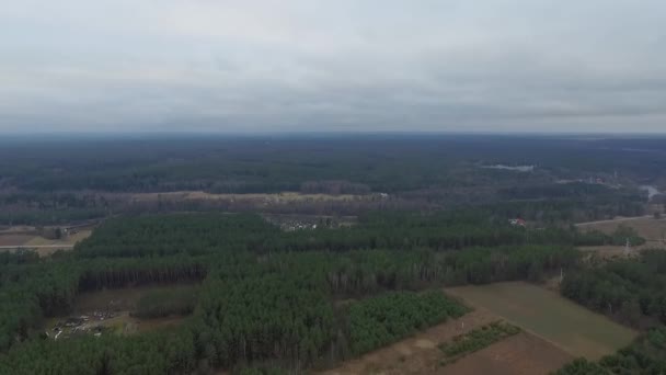 Vista Aérea Sobre Floresta — Vídeo de Stock