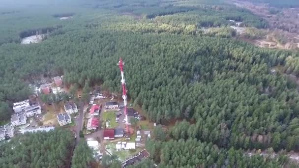 Vlucht Rond Toren Van Snelweg Bos — Stockvideo